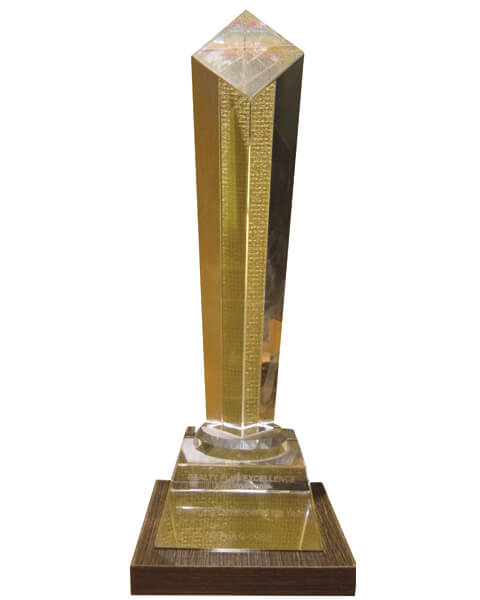Emerging Developer of the Year